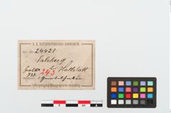Etiketten zu Bronzegürtelhaken (NHMW-PRAE-024421)
